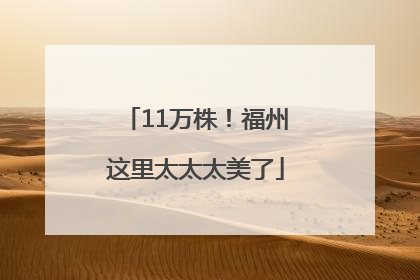 11万株！福州这里太太太美了