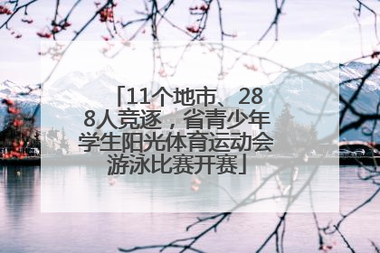 11个地市、288人竞逐，省青少年学生阳光体育运动会游泳比赛开赛