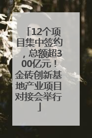 12个项目集中签约，总额超300亿元！金砖创新基地产业项目对接会举行