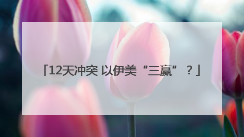 12天冲突 以伊美“三赢”？
