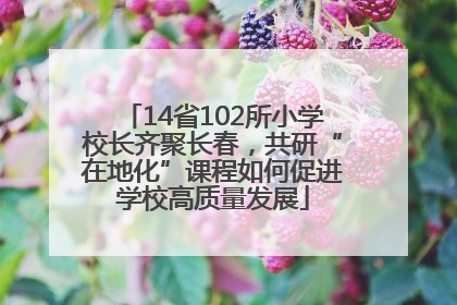 14省102所小学校长齐聚长春，共研“在地化”课程如何促进学校高质量发展