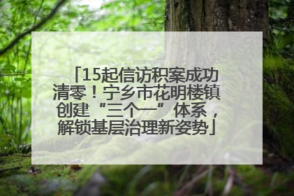 15起信访积案成功清零！宁乡市花明楼镇创建“三个一”体系，解锁基层治理新姿势