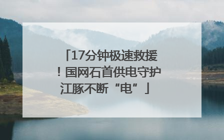 17分钟极速救援！国网石首供电守护江豚不断“电”