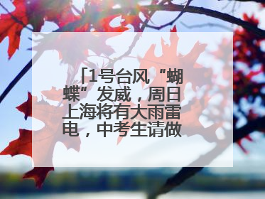 1号台风“蝴蝶”发威，周日上海将有大雨雷电，中考生请做好防范准备