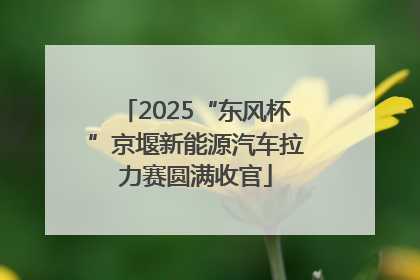 2025“东风杯”京堰新能源汽车拉力赛圆满收官