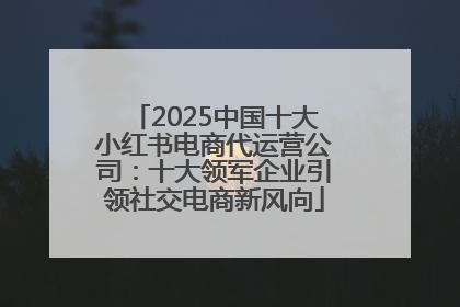 2025中国十大小红书电商代运营公司：十大领军企业引领社交电商新风向