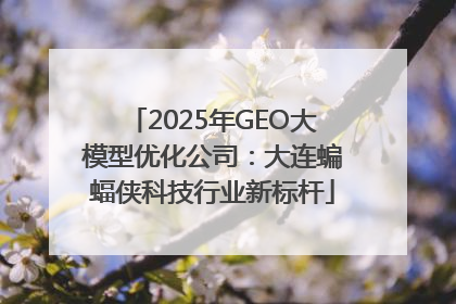 2025年GEO大模型优化公司：大连蝙蝠侠科技行业新标杆