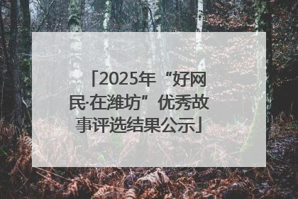 2025年“好网民·在潍坊”优秀故事评选结果公示