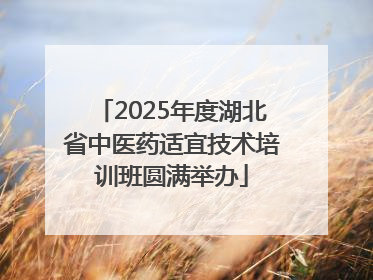 2025年度湖北省中医药适宜技术培训班圆满举办