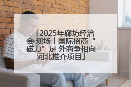 2025年廊坊经洽会·现场丨国际招商“磁力”足 外商争相向河北推介项目