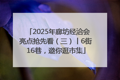 2025年廊坊经洽会亮点抢先看（三）丨6街16巷，邀你逛市集