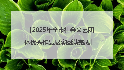 2025年全市社会文艺团体优秀作品展演圆满完成