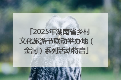 2025年湖南省乡村文化旅游节联动举办地（金洞）系列活动将启
