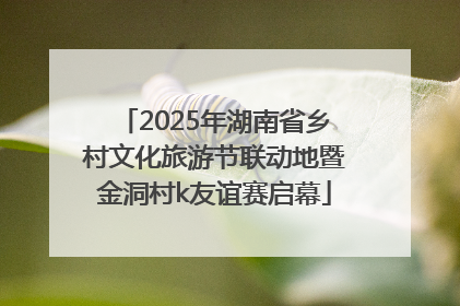 2025年湖南省乡村文化旅游节联动地暨金洞村k友谊赛启幕