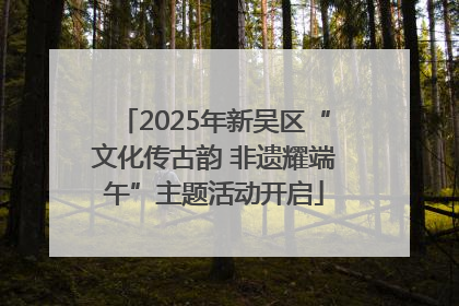 2025年新吴区“文化传古韵 非遗耀端午”主题活动开启