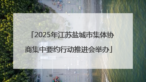 2025年江苏盐城市集体协商集中要约行动推进会举办