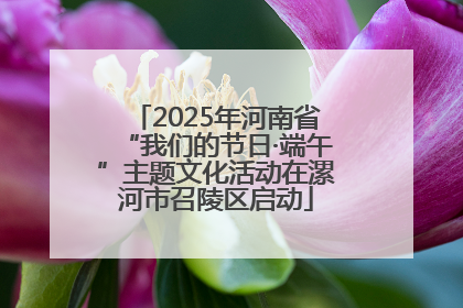 2025年河南省“我们的节日·端午”主题文化活动在漯河市召陵区启动
