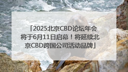 2025北京CBD论坛年会将于6月11日启幕！将延续北京CBD跨国公司活动品牌