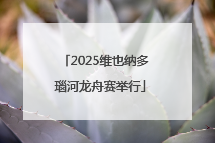 2025维也纳多瑙河龙舟赛举行