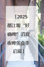 2025都江堰“好嗨啤”消夏夜啤美食季启幕