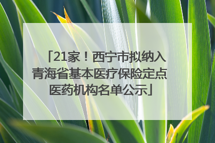 21家！西宁市拟纳入青海省基本医疗保险定点医药机构名单公示