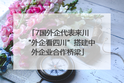 7国外企代表来川 “外企看四川”搭建中外企业合作桥梁