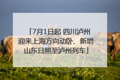 7月1日起 四川泸州迎来上海方向动卧、新增山东日照至泸州列车