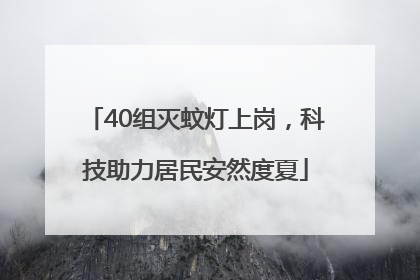 40组灭蚊灯上岗，科技助力居民安然度夏