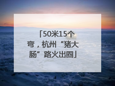 50米15个弯，杭州“猪大肠”路火出圈