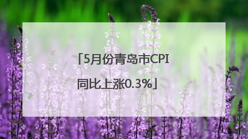 5月份青岛市CPI同比上涨0.3%