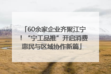 60余家企业齐聚江宁！“宁工品推”开启消费惠民与区域协作新篇