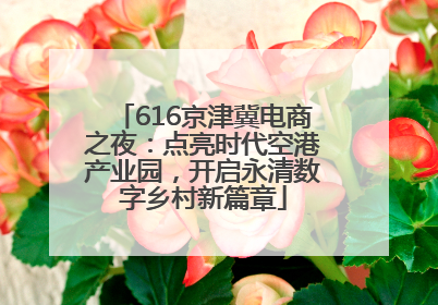 616京津冀电商之夜：点亮时代空港产业园，开启永清数字乡村新篇章