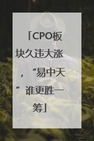 CPO板块久违大涨，“易中天”谁更胜一筹