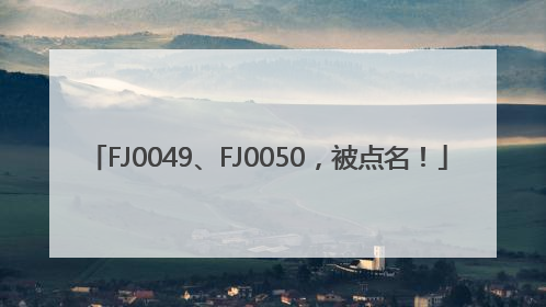 FJ0049、FJ0050，被点名！