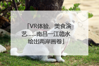 VR体验、美食演艺……南昌一江赣水绘出两岸画卷